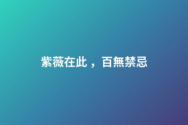 紫薇在此，百無禁忌